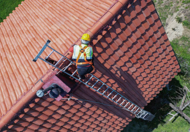 Roof Moss and Algae Removal in Cloverleaf, TX